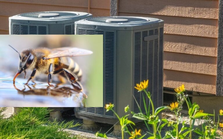 Why Are Bees Attracted To My Air Conditioner?